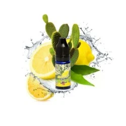 Koncentrat Big Mouth - Cytrynowy Kaktus Retro Juice 10ml